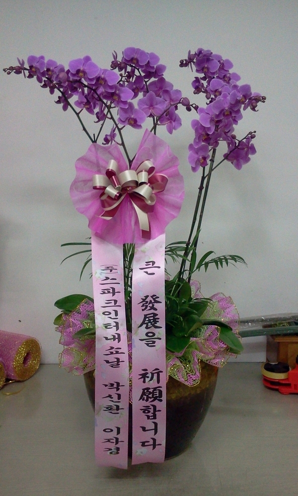 10��10��(�����)