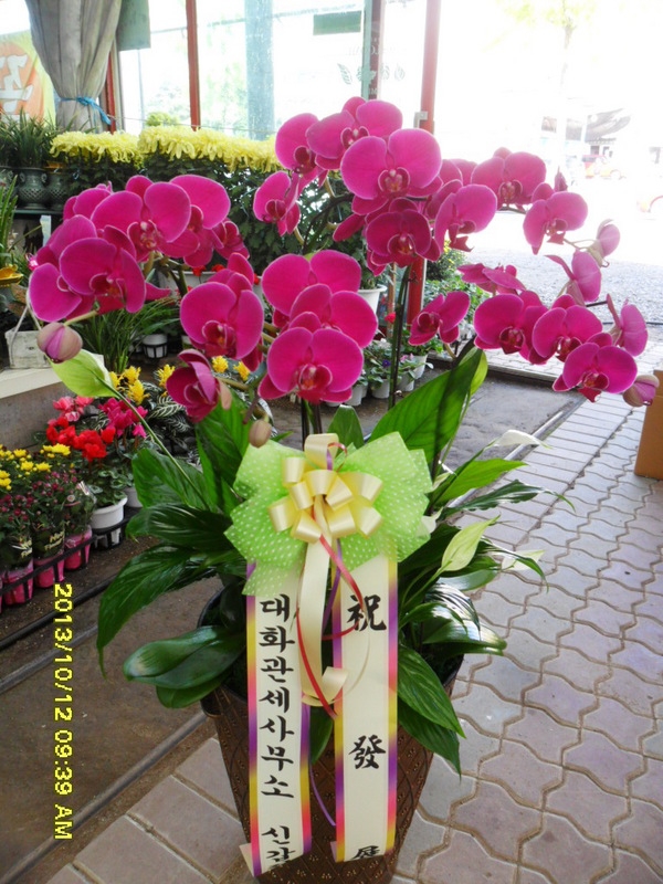 10��15��(ȭ����)