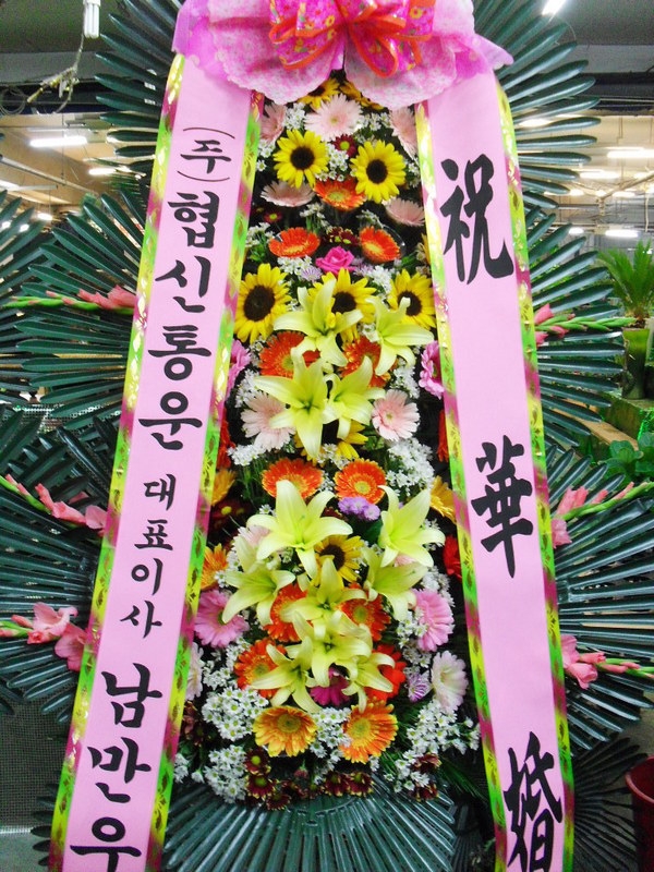 10��15��(ȭ����)