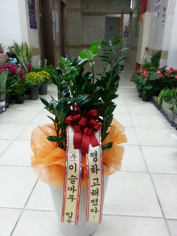 10��15��(ȭ����)