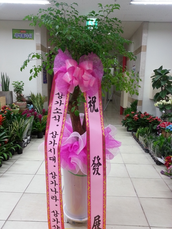 10��15��(ȭ����)