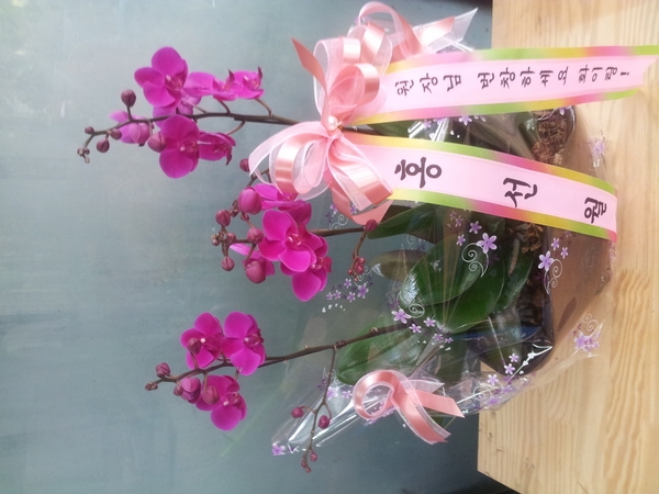 10��19��(�����)