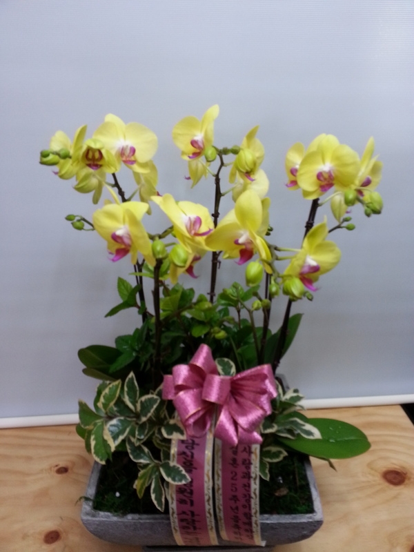 10��21��(������)