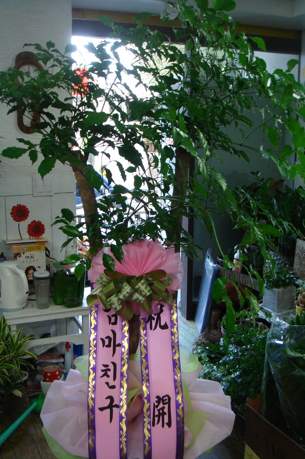 10��21��(������)