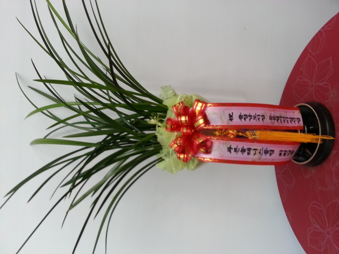 10��23��(������)