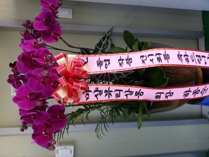 10��23��(������)������Ƽ��մ�ǥ��