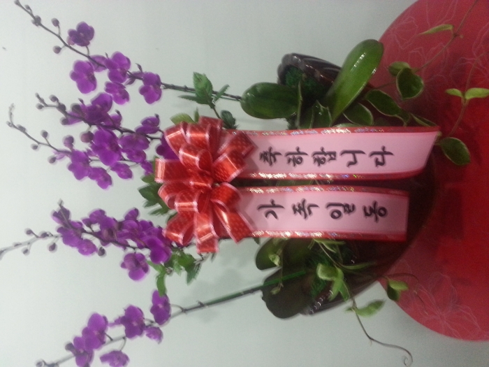 10��23��(������)