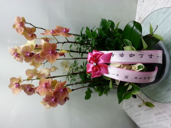 10��24��(�����)