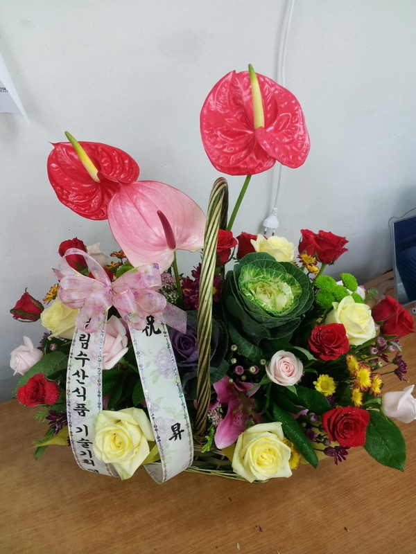 10��24��(�����)