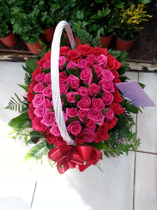 10��24��(�����)