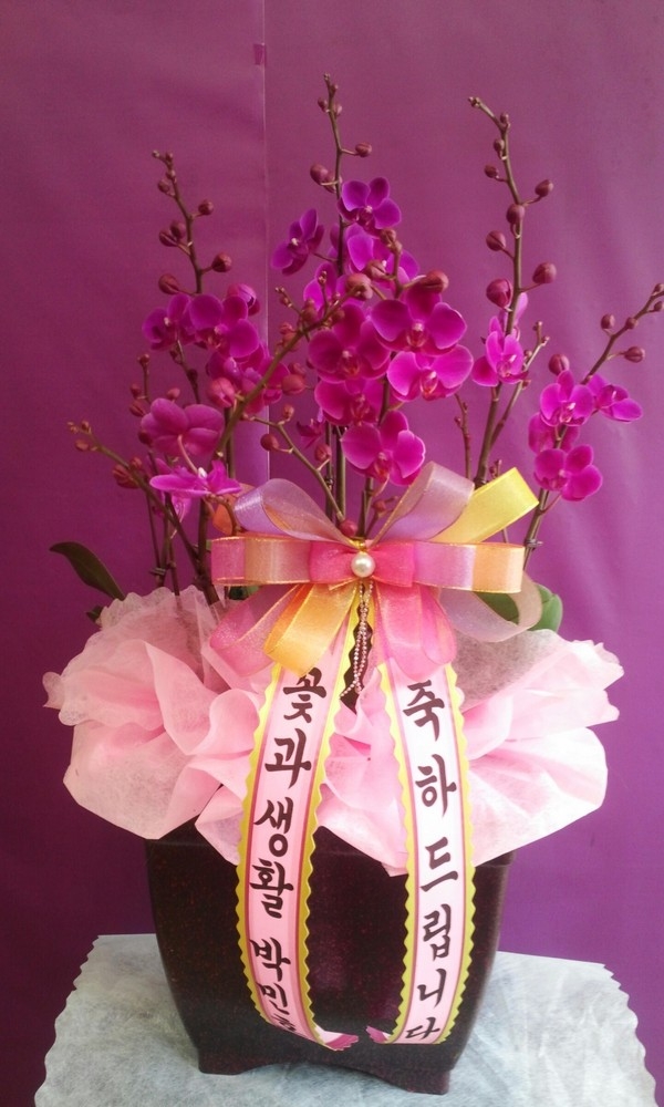 10��24��(�����)