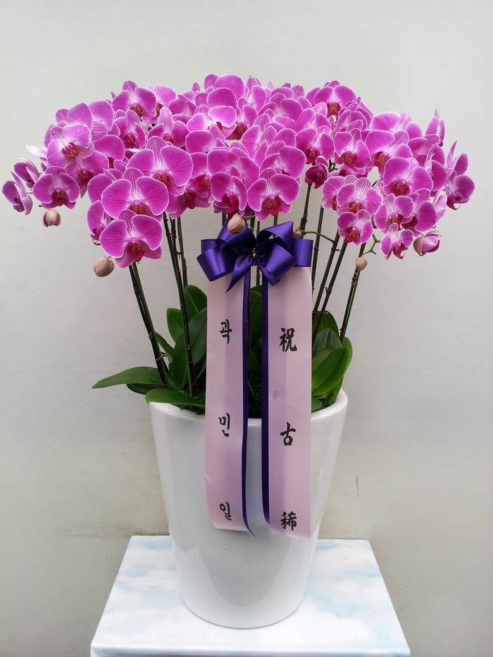 10��28��(������)