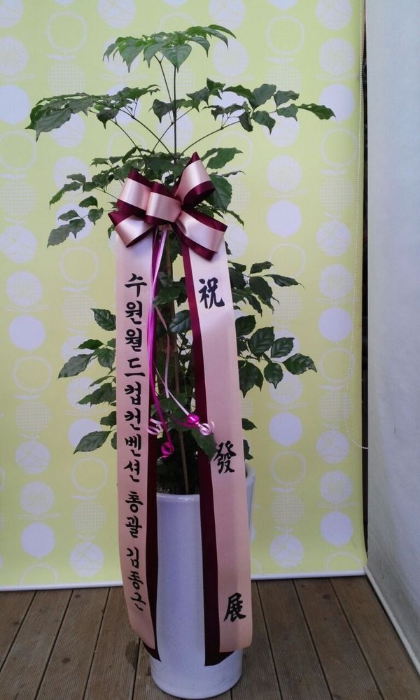 10��29��(ȭ����)