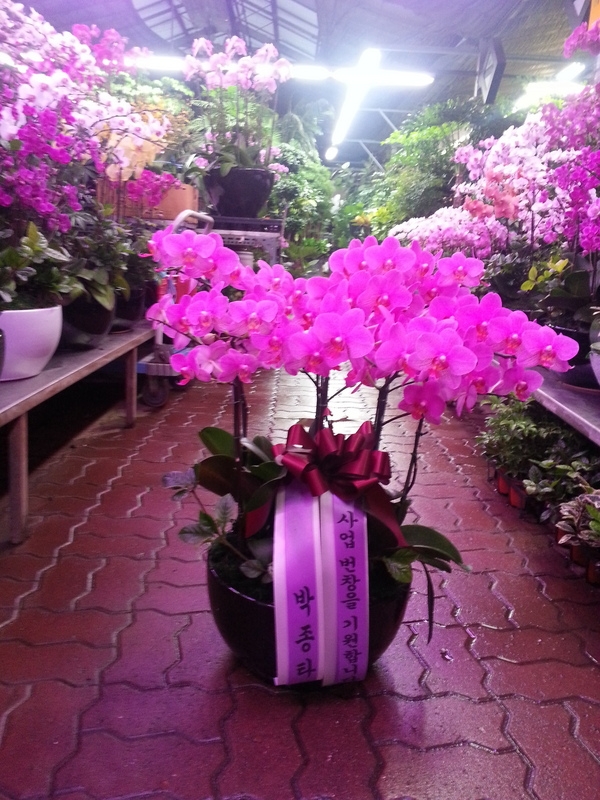 10��29��(ȭ����)