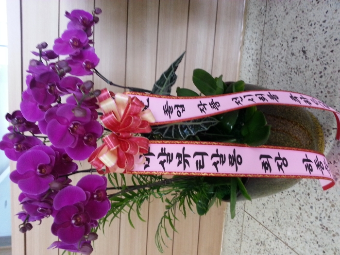 10��31��(��)������ȸ���