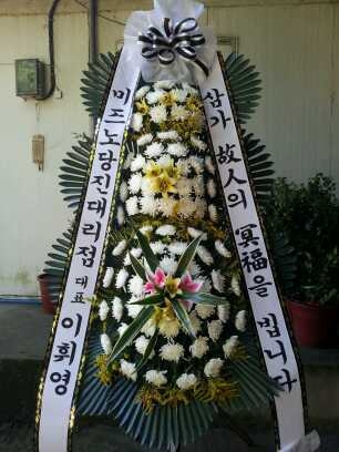 11��2��(�����)