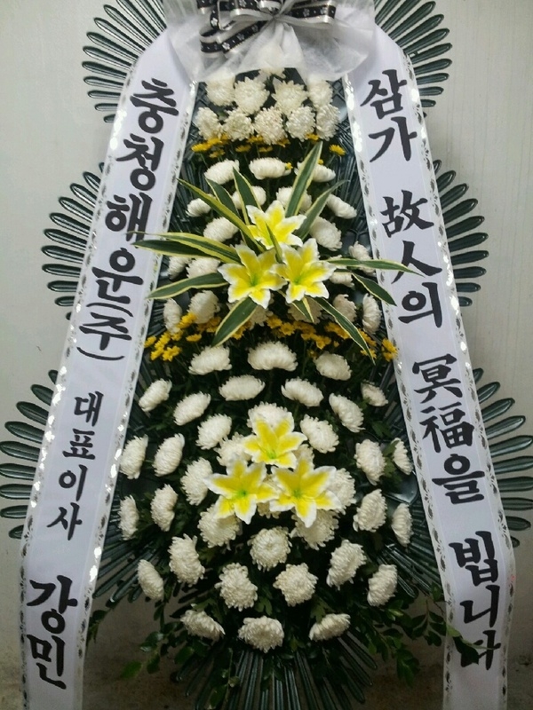 11��2��(�����)