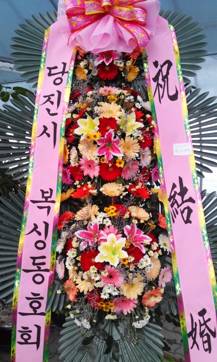 11��2��(�����)