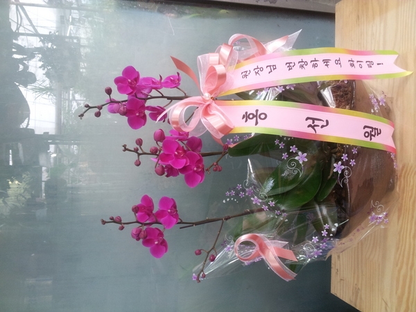 11��2��(�����)