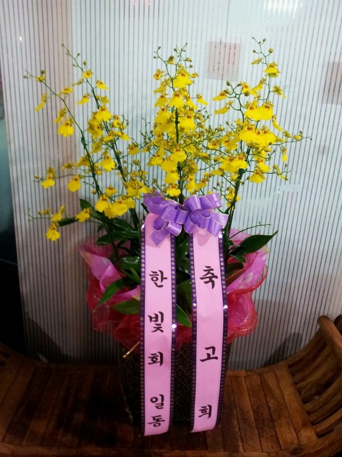 11��2��(�����)