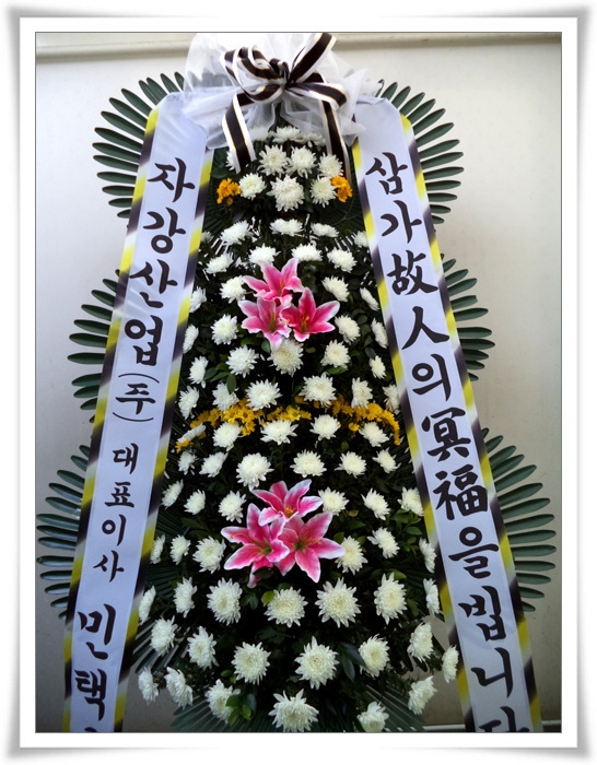 11��2��(�����)