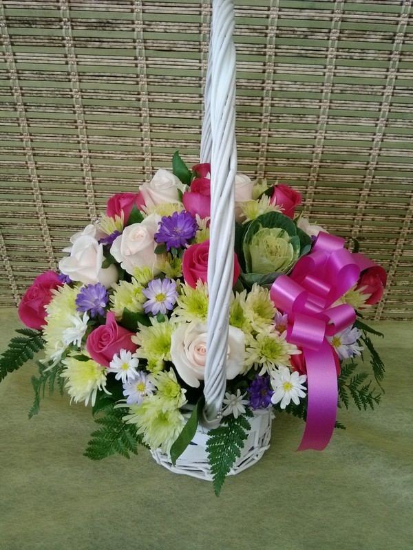 11��2��(�����)