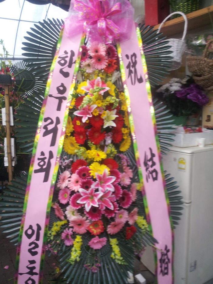 11��2��(�����)