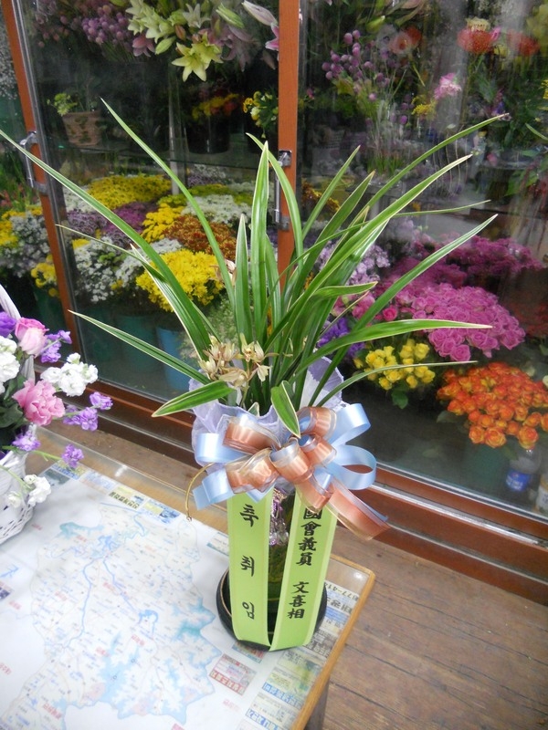 11��2��(�����)