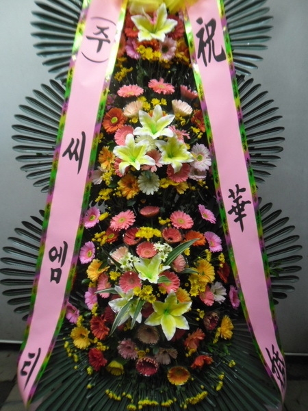 11��2��(�����)����Ƽ