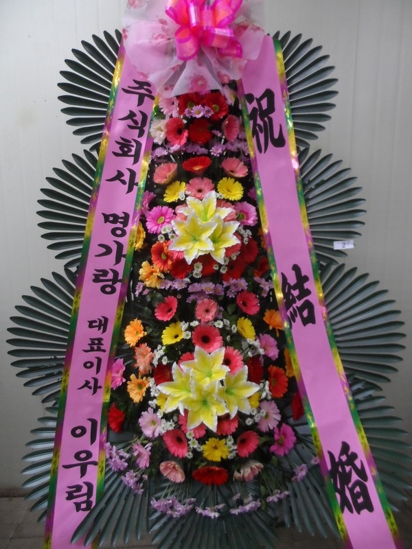 11��2��(�����)