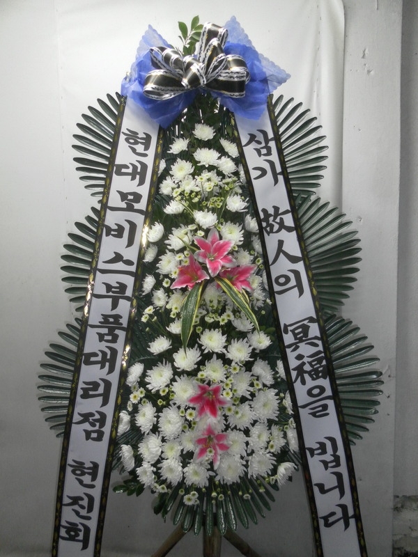 11��2��(�����������