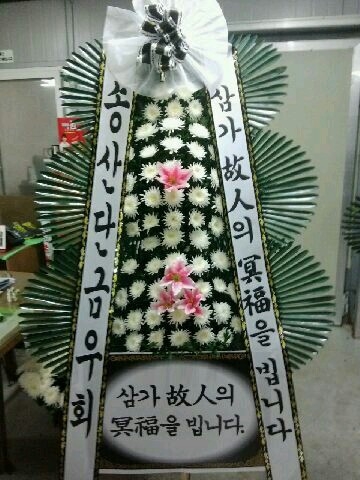 11��6��(������)�ܱݿ�ȸ