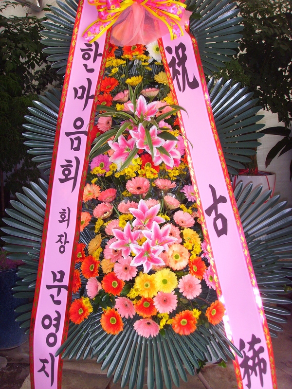 11��6��(������)