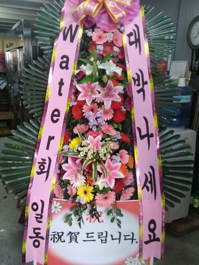 11��6��(������)