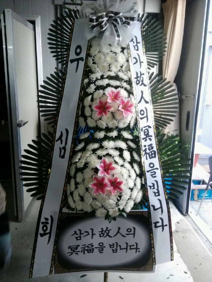 11��6��(������)