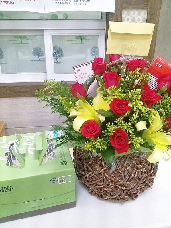 11��6��(������)