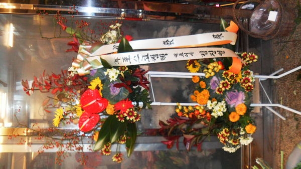 11��8��(�ݿ���)