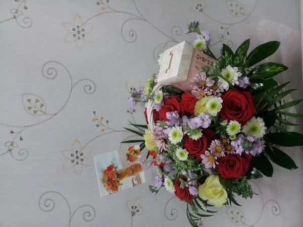 11��8��(�ݿ���)