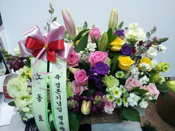 11��8��(�ݿ���)