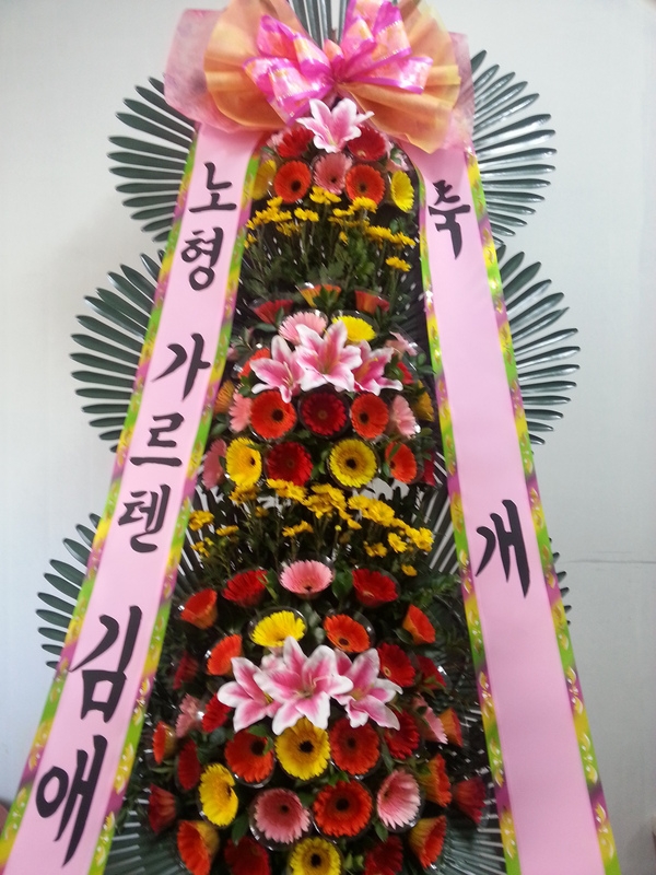 11��8��(�ݿ���)