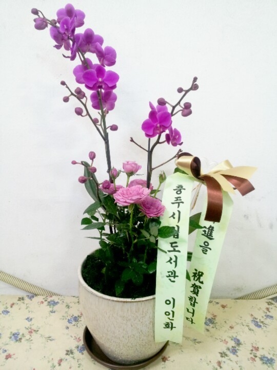 11��8��(�ݿ���)