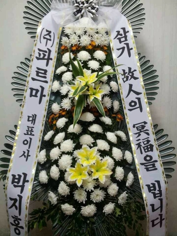 11��8��(�ݿ���)