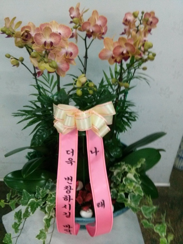 11��8��(�ݿ���)