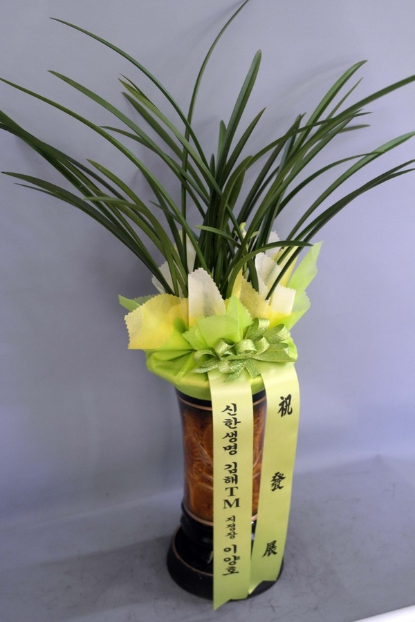 11��8��(�ݿ���)