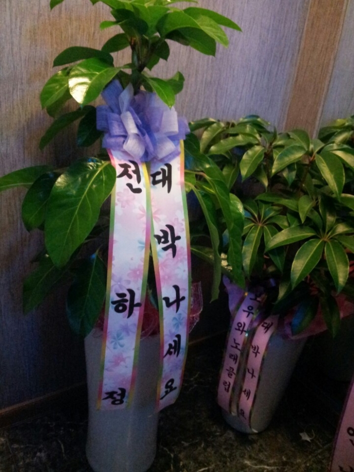 11��9��(��)��������