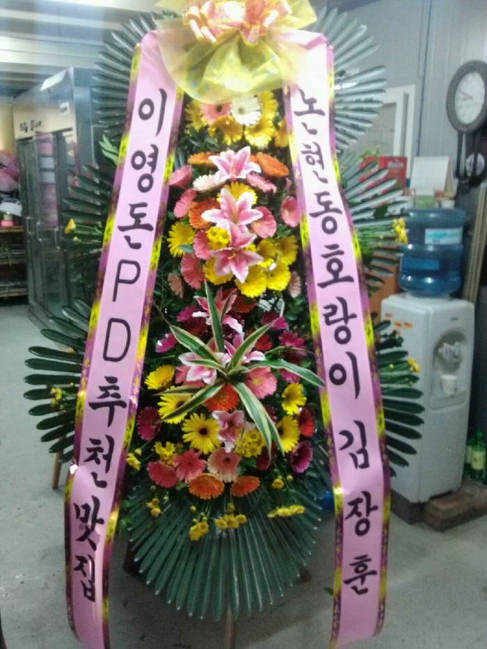 11��9��(��)