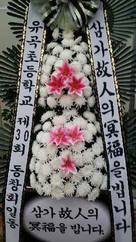 11��9��(��)������