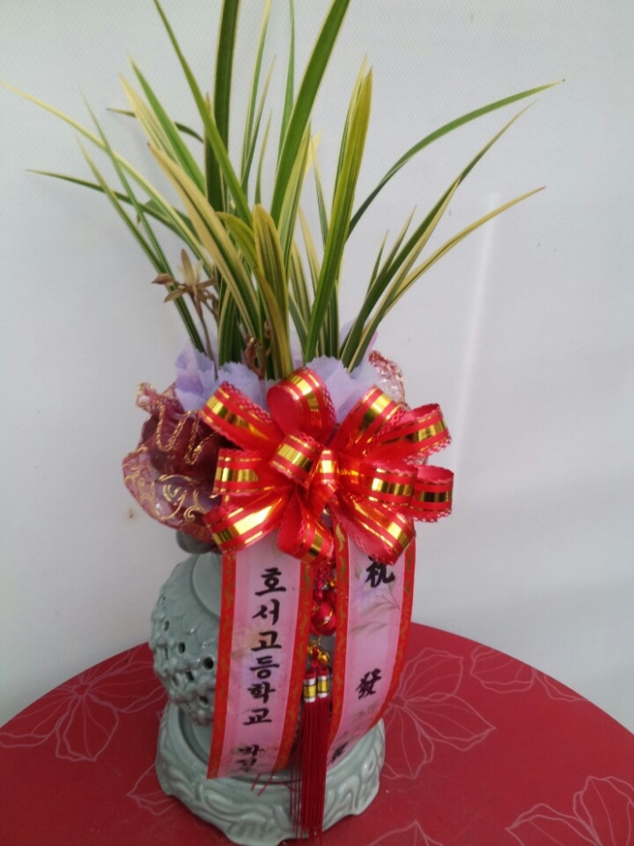 11��9��(��)�����켱����