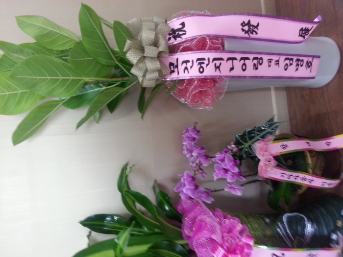 11��9��(��)��ǿ����Ͼ