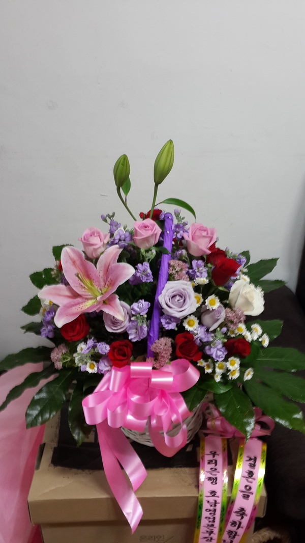 11��11��(�����ε���)